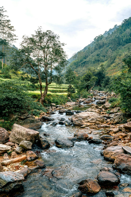 實驗室色度測定儀